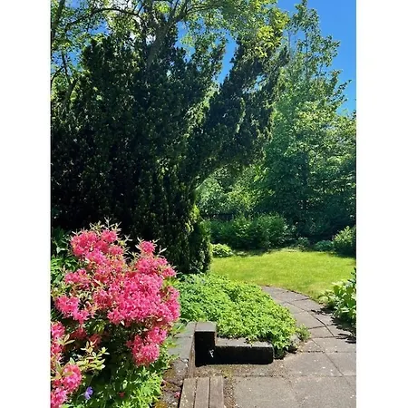 With 4 Bedrooms برونلاغ